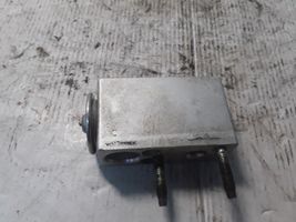 Fiat Bravo Air conditioning (A/C) expansion valve A310010E0A