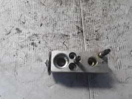 Fiat Bravo Air conditioning (A/C) expansion valve A310010E0A