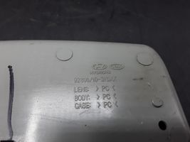 Hyundai Sonata Interior lighting switch 92800103K0XX