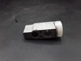 Citroen C-Crosser Air conditioning (A/C) expansion valve CSA387B00