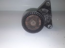 Hyundai Sonata Napinacz paska alternatora 