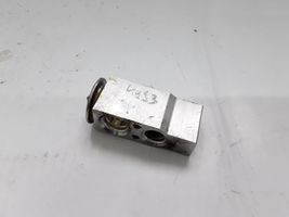 Citroen Jumpy Air conditioning (A/C) expansion valve A31100100