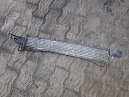 Hyundai Santa Fe Transmission/gearbox oil cooler 254602B100