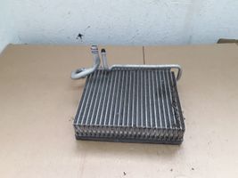 Volkswagen Crafter Air conditioning (A/C) radiator (interior) G3095003