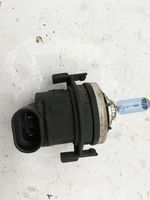 BMW 3 E46 Ampoule, projecteur principal 