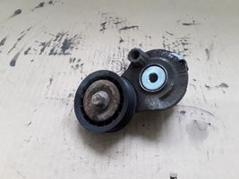 Opel Antara Tensor de la correa del alternador 25182787