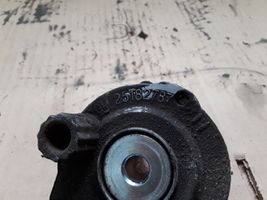 Opel Antara Napinacz paska wielorowkowego / Alternatora 25182787