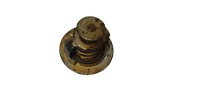 Nissan X-Trail T30 Boîtier de thermostat / thermostat 