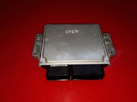 Hyundai H-1, Starex, Satellite Sterownik / Moduł ECU 391014A110