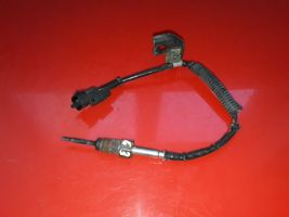 Hyundai H-1, Starex, Satellite Exhaust gas temperature sensor 