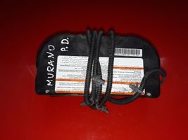 Nissan Murano Z50 Airbag sedile PRCC0051247009