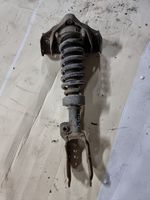 Porsche Cayenne (9PA) Ammortizzatore anteriore con molla elicoidale 7L5413031K