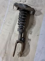 Porsche Cayenne (9PA) Ammortizzatore anteriore con molla elicoidale 7L5413031K