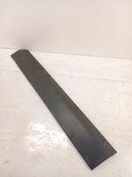 Audi Q7 4L Rivestimento della portiera anteriore (modanatura) 4L0853960