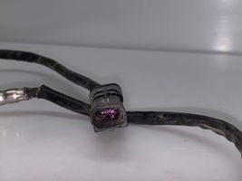 Fiat Ducato Sensore della sonda Lambda 55283004