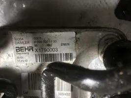Mercedes-Benz SLK R172 Variklio tepalo radiatorius X1790003