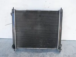 Nissan Juke I F15 Radiateur de chauffage 21410BA62A