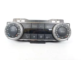 Mercedes-Benz C AMG W204 Console centrale A2049009104