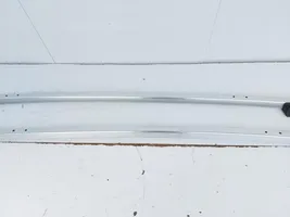 Volkswagen Tiguan Rain gutter 