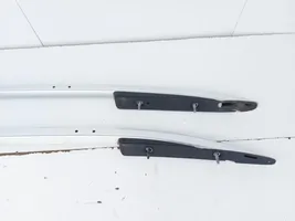 Volkswagen Tiguan Rain gutter 