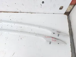 Volkswagen PASSAT B6 Rain gutter 