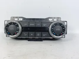 Mercedes-Benz C AMG W204 Console centrale A2049009104