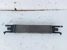 Fiat Grande Punto Chłodnica powietrza doładowującego / Intercooler 866452000