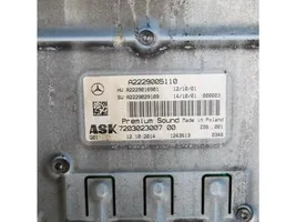 Mercedes-Benz C AMG W205 Sterownik / Moduł ECU A2229005110