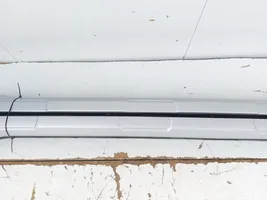 Ford Ecosport Rain gutter 