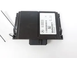 Mercedes-Benz GLS X166 Sterownik / Moduł ECU A0999012100