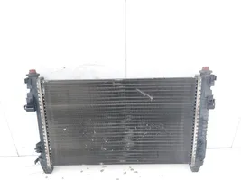 Mercedes-Benz A W169 Radiateur de chauffage A1695000603