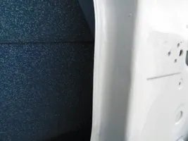 Volkswagen Crafter Drzwi tylne do samochodów dostawczych 