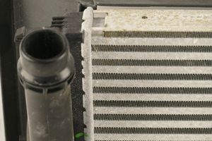 Dacia Sandero Chłodnica powietrza doładowującego / Intercooler 144963014R