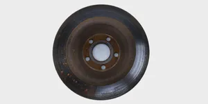 Ford Edge II Rear brake disc RFDG9C2A315C