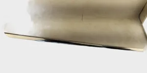 Bentley Flying Spur Apdaila priekinių durų (moldingas) 3W8853516RH
