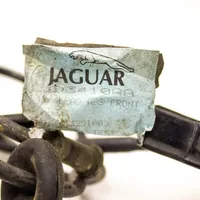 Jaguar XK8 - XKR Inna wiązka przewodów / kabli LJD3410AA