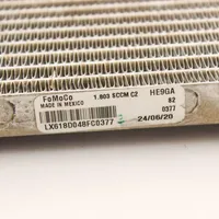 Ford Kuga III Coolant radiator LX618D048FC