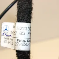 Mercedes-Benz S W221 Otros cableados A2218206215