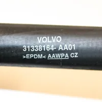 Volvo V60 Variklio aušinimo vamzdelis (-ai)/ žarna (-os) 31338164