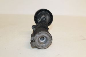 Volkswagen Polo IV 9N3 Napinacz paska alternatora 0001120406