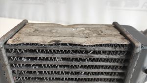 Renault Scenic I Chłodnica powietrza doładowującego / Intercooler 8200047162