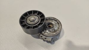 Volvo S40 Napinacz paska alternatora 505424