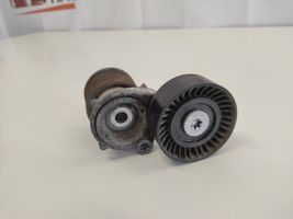 Seat Ibiza III (6L) Napinacz paska alternatora 03D903305G