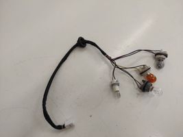 Chevrolet Captiva Element lampy tylnej 