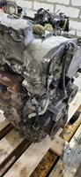 Toyota Avensis T250 Motor 2AD