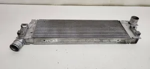 Renault Megane II Intercooler radiator 8200115540