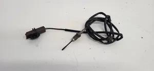 Citroen C5 Abgastemperatursensor 