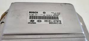 Hyundai Santa Fe Sterownik / Moduł ECU 3910127970