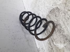 Volkswagen New Beetle Front coil spring 