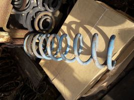 Honda Accord Rear coil spring 